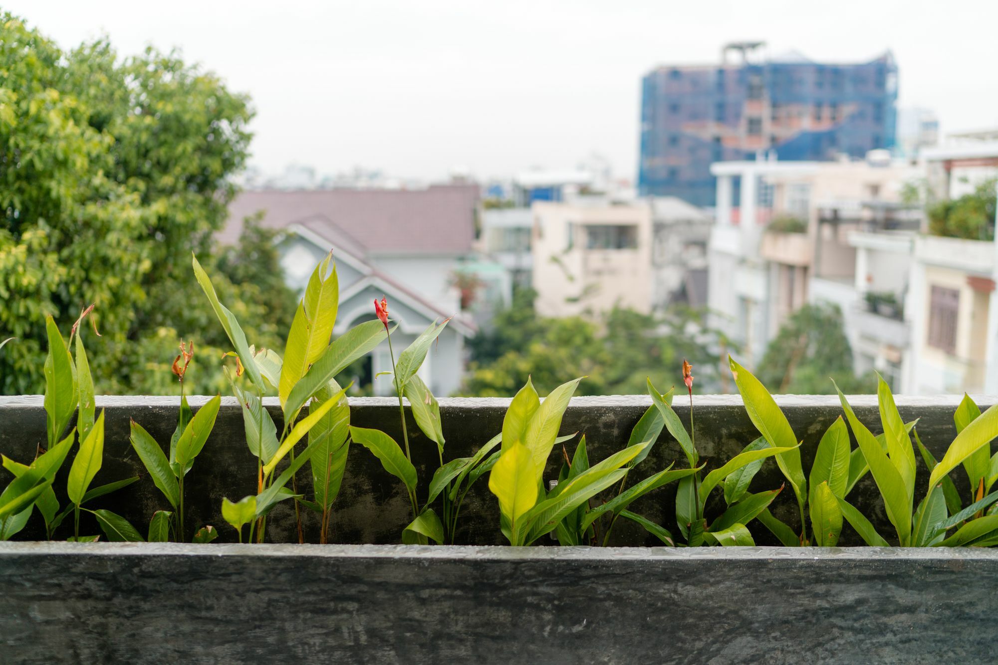Iam Saigon Homestay ホーチミン市 エクステリア 写真