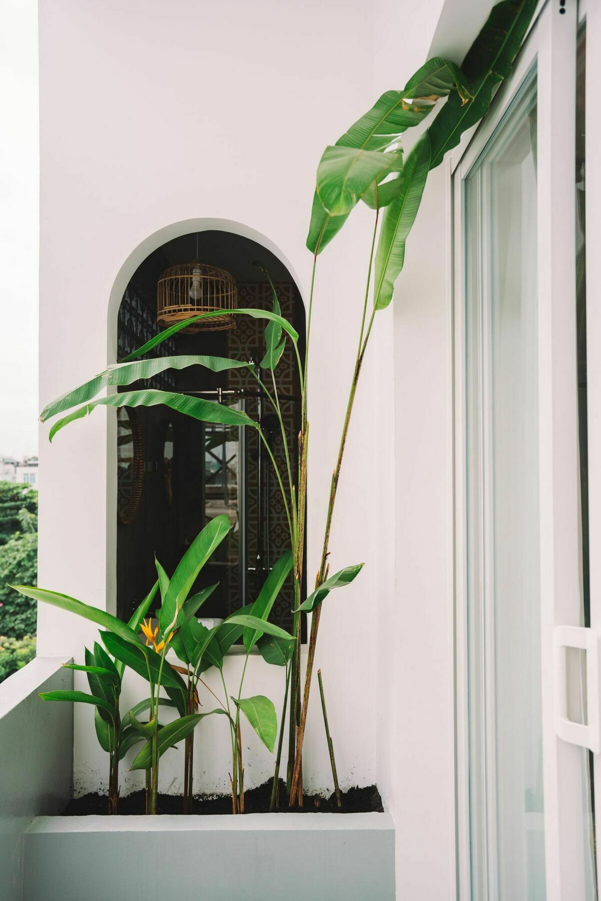 Iam Saigon Homestay ホーチミン市 エクステリア 写真
